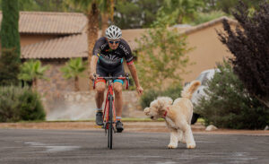 New Platform: Protecting Our Natural Resources