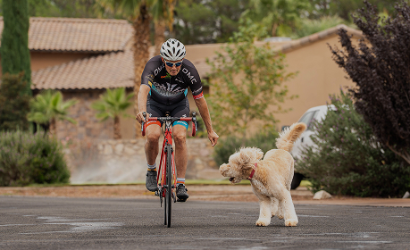 New Platform: Protecting Our Natural Resources